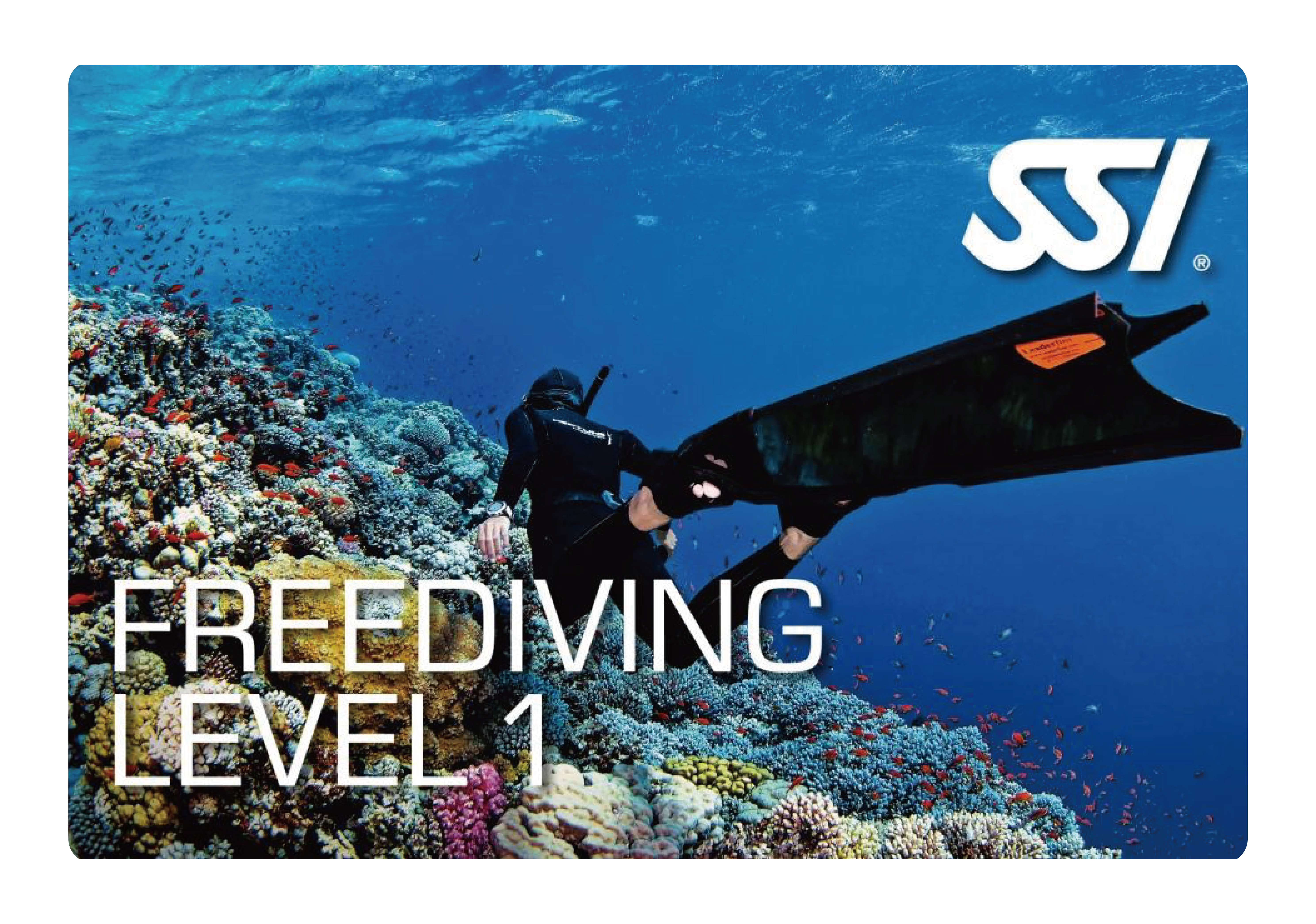 自由潛水員課程