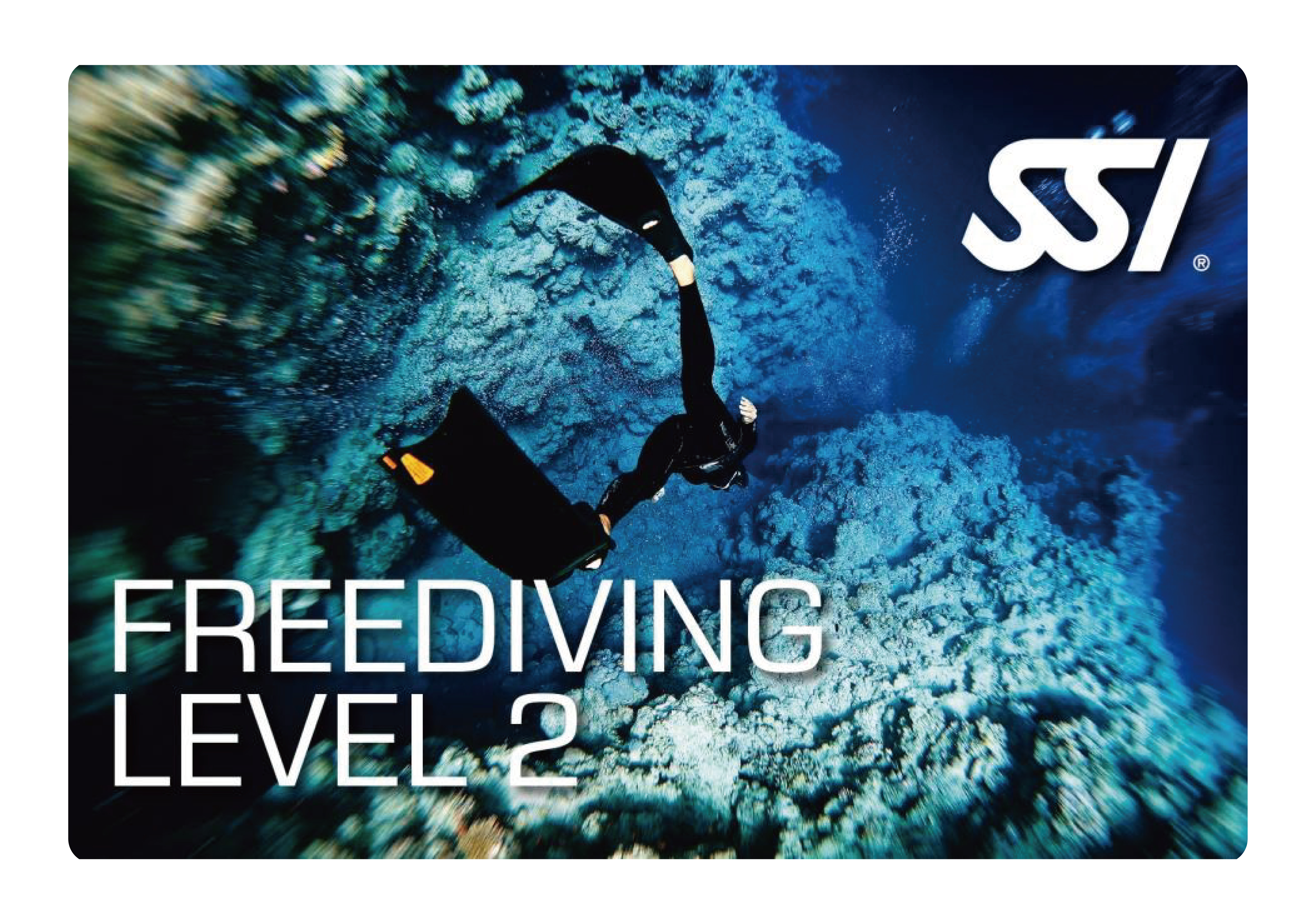 進階自由潛水課程